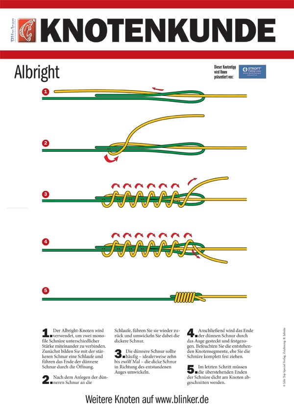 Der Albright-Knoten - BLINKER